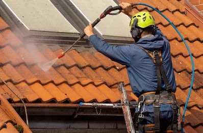 Démoussage et hydrofuge de toiture à Guerting